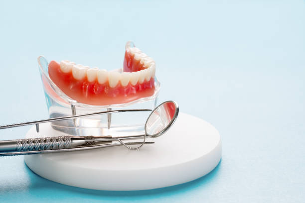 Professional Holistic Dental Care Services in Hiram, OH